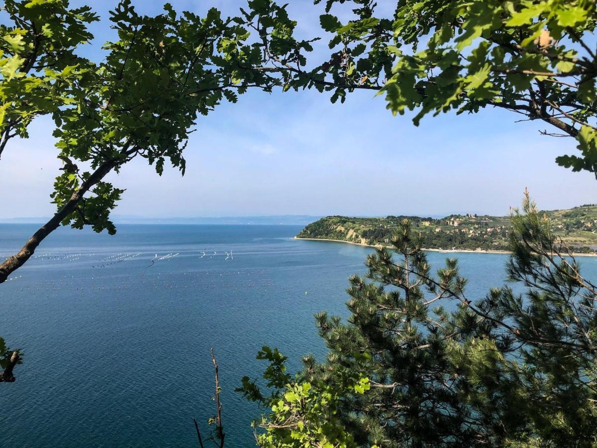 Apartment Vrenjak Portorož Dış mekan fotoğraf